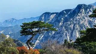 Miniature : 中国编钟 鋼琴練習曲 作曲家兼表演者Jean-Charles Bourquin(揚-夏爾·布爾昆)