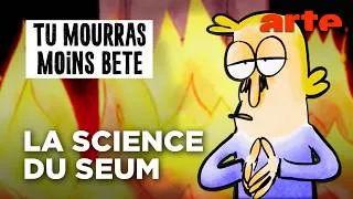 Miniature : Le bon, la brute, et le biais cognitif | Compilation | Tu mourras moins bête | ARTE