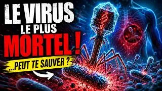 Miniature : La guerre invisible des bactériophages