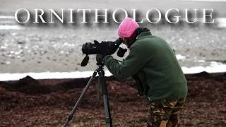 Miniature : Les secrets du métier d'Ornithologue
