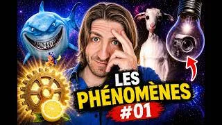 Miniature : BEST-OF #01 - Les phénomènes étranges dont tu n'as jamais entendu parler 🙄