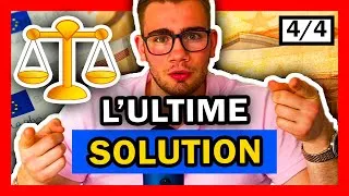 Miniature : Stopper l'Inflation et la Crise : La Seule Solution Possible