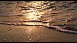 Miniature : catching flies - daymarks (slowed)
