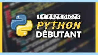Miniature : Maîtrisez les bases de Python en 50 minutes: 15 exercices pour les débutants