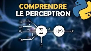 Miniature : Comprendre le Perceptron + Exemple en Python [From Scrath]