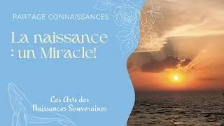 Miniature : Mon regard sur les Naissances : un miracle!