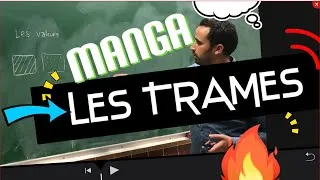 Miniature : Les Trames et valeurs dans un Manga