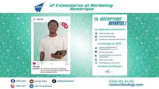Miniature : Licence E-Commerce et Marketing Numérique.