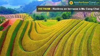 Miniature : Voyage au Vietnam - Partir au Vietnam - Préparer vacances Vietnam