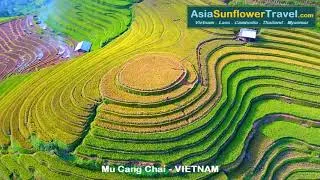 Miniature : Rizière Vietnam - MU CANG CHAI - la plus belle rizière en terrasse Vietnam