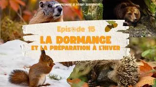 Miniature : Episode 15 - La dormance et la préparation à l'hiver