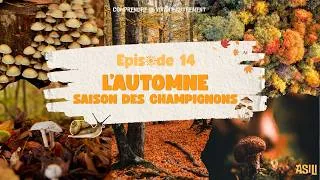 Miniature : Épisode 14 - L'automne, saison des champignons