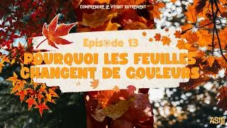 Miniature : Épisode 13 - Pourquoi les feuilles changent de couleurs en automne