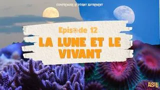 Miniature : Episode 12 - La lune et le vivant