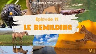 Miniature : Episode 11 - Le rewilding