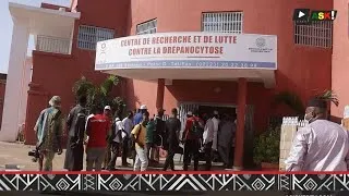 Miniature : #Journée mondiale de la #Drepanocytose : Des actions concrètes contre la maladie au #Mali 