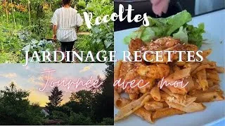 Miniature : IDÉES REPAS - JARDINAGE - JOURNÉE PRODUCTIVE
