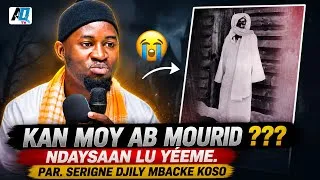 Miniature : Kan moy ab Mourid ??? Ndaysaan Lu yéeme  Par  Serigne Djily Mbacke Koso