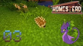 Miniature : Modpack Homestead VOD #03