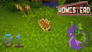 Miniature : Modpack Homestead VOD #01