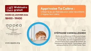 Miniature : Apprivoise Ta Colère : Utiliser le jeu en thérapie pour aider les enfants à réguler leur colère