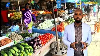 Miniature : Projet AgriResilience Djibouti : Pitch final programme Tadamon Accelerator - ALCACE