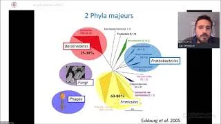 Miniature : SESSION AGROALIMENTAIRE-Bruno LAMAS: Nanoparticules dans les aliments interaction sur le microbiote
