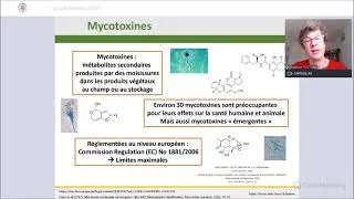 Miniature : SESSION AGROALIMENTAIRE - Angélique FONTANA: Maîtrise du risque mycotoxique par le biocontrôle