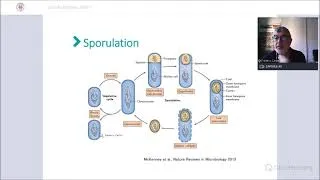 Miniature : SESSION AGROALIMENTAIRE - Frédéric CARLIN: Les spores bactériennes dans la chaine alimentaire