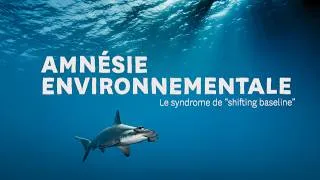 Miniature : La destruction du monde, une fatalité ?