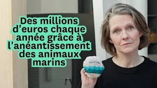 Miniature : Le label MSC : une vaste arnaque internationale