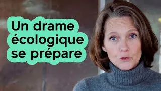 Miniature : Un drame écologique se prépare