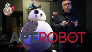 Miniature : Apérobot 0xA1 - Droïde BB-8 par Patrice