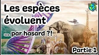 Miniature : ESCQ#2 - L'écologie évolutive (1/2)