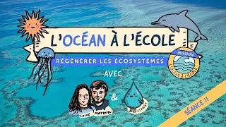 Miniature : 🌊 Séance 11- Régénérer les écosystèmes - Kit Pédagogique l'Océan à l'École