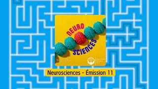 Miniature : Sciences à l'Antenne - Neurosciences (édition 2025-2026, émission 11)
