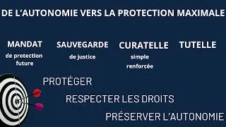 Miniature : La protection des majeurs vulnérables