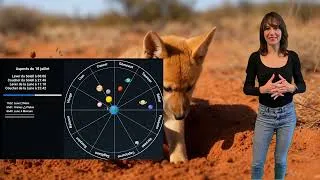 Miniature : Horoscope du 18 juillet 2026 : Émotions et Réparations