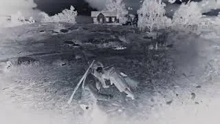 Miniature : God Mode repéré ! Deux joueurs immortels sur Red Dead Online