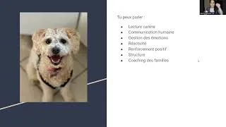 Miniature : Webinaire devenir intervenant canin au Québec en 2026
