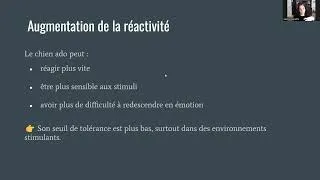 Miniature : Pourquoi ton chien ado ne t’écoute plus ?