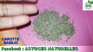 Miniature : SOIGNER L'IMPUISSANCE SXLLE NATURELLEMENT- TREAT IMPOTENCE NATURALLY