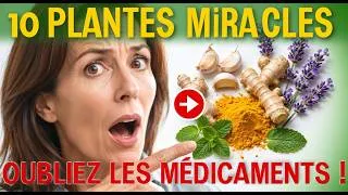 Miniature : 10 Remèdes Naturels à Base de Plantes Médicinales Que Tout le Monde Devrait Connaître