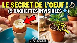 Miniature : NE CACHEZ PLUS VOS BIJOUX N'IMPORTE OÙ ! 5 Cachettes Secrètes Invisibles 🤫 #video #viral #fyp