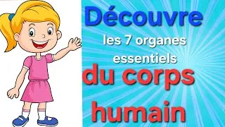 Miniature : 7 organes..7 super-pouvoirs #français #science #apprendre 