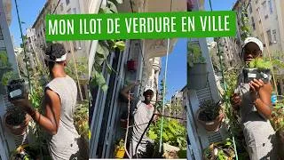 Miniature : Tuto Ilot végétation & jardinage petite surface en pleine canicule : jardinage débutant 4m2 #plantes