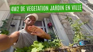 Miniature : Jardiner facilement en juillet tout ce qui pousse sur 4m2 ilot de végétation #jardinage #agriculture