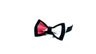Miniature : Bow Tie Timeo