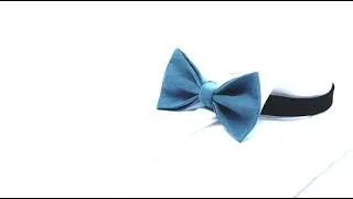 Miniature : Bow Tie Ryan