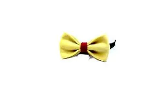 Miniature : Bow Tie Robert